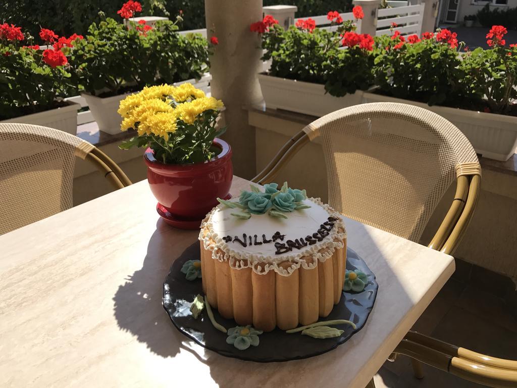 Villa Brussels Deva Zewnętrze zdjęcie