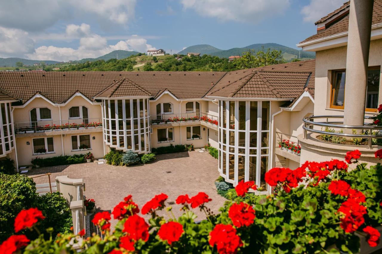 Villa Brussels Deva Zewnętrze zdjęcie